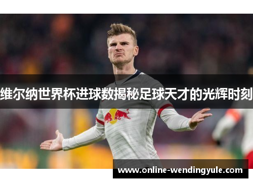 维尔纳世界杯进球数揭秘足球天才的光辉时刻