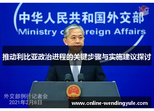 推动利比亚政治进程的关键步骤与实施建议探讨