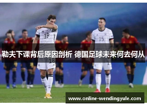 勒夫下课背后原因剖析 德国足球未来何去何从