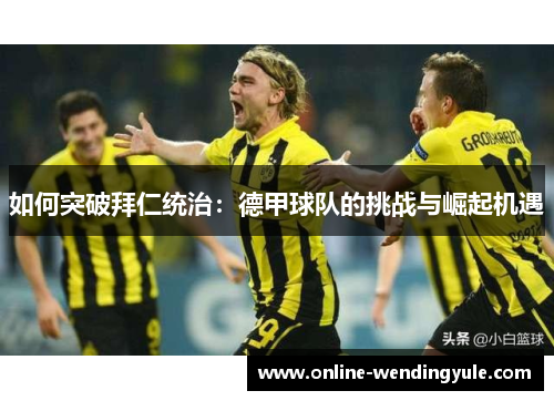 如何突破拜仁统治:德甲球队的挑战与崛起机遇 如何突破拜仁统治:德甲球队的挑战与崛起机遇